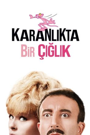 Karanlıkta Bir Çığlık (1964)