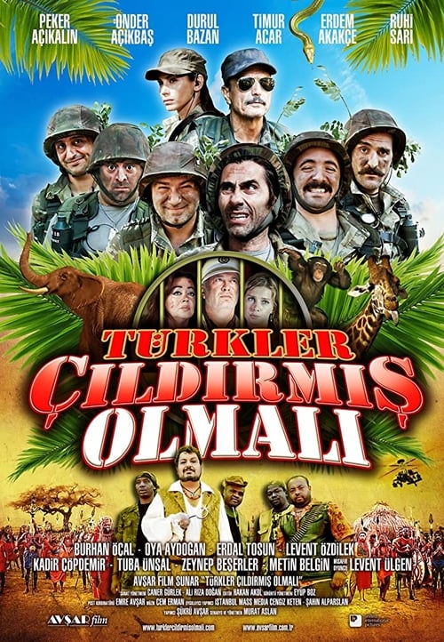 Türkler Çıldırmış Olmalı (2009)