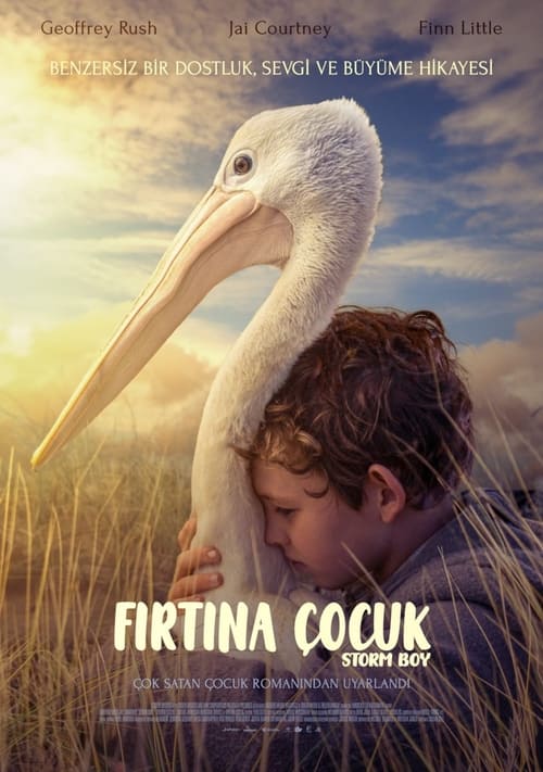 Fırtına Çocuk (2019)