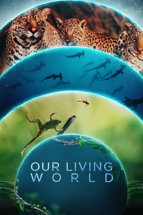 Our Living World : 1.Sezon 3.Bölüm