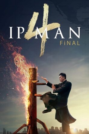 Ip Man 4: Final (2019)