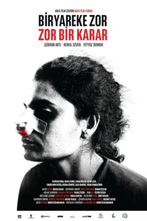 Zor Bir Karar (2017)