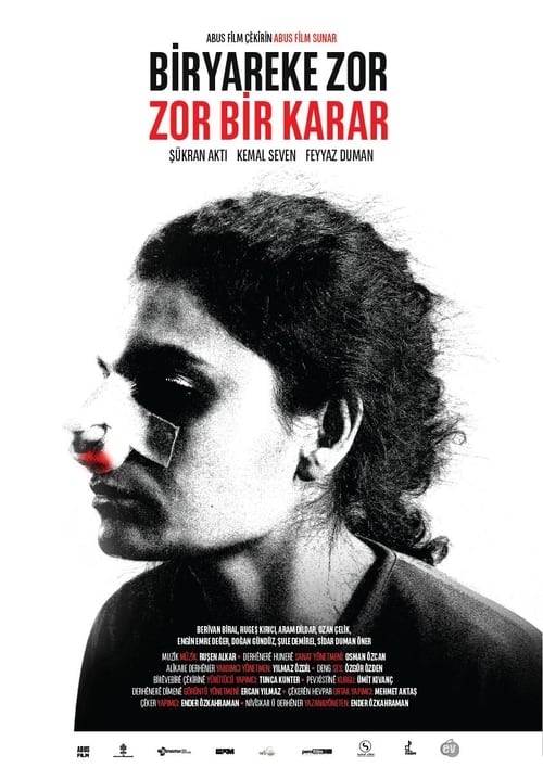 Zor Bir Karar (2017)