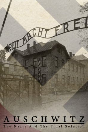 Auschwitz The Nazis and the Final Solution