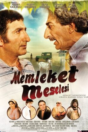 Memleket Meselesi (2010)