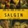 Salgın (2011) izle