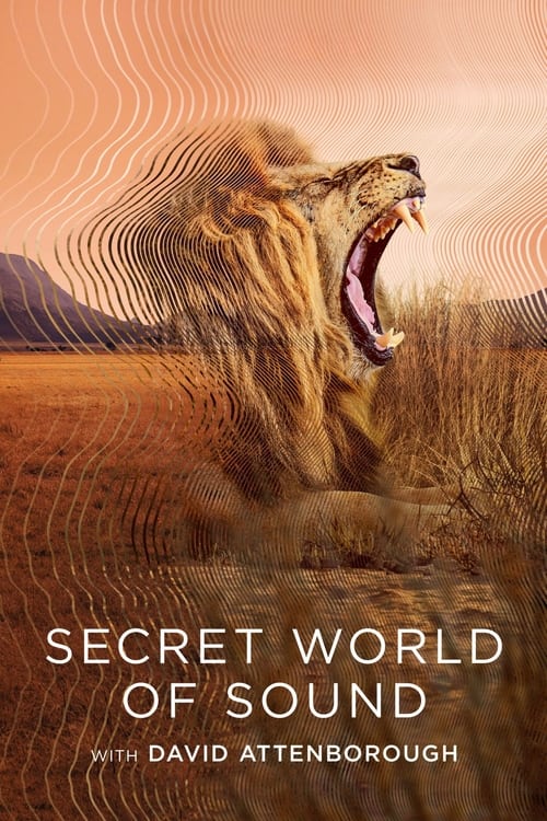 Secret World of Sound : 1.Sezon 1.Bölüm