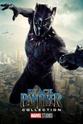 Black Panther Serisi izle