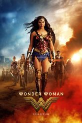 Wonder Woman Serisi izle